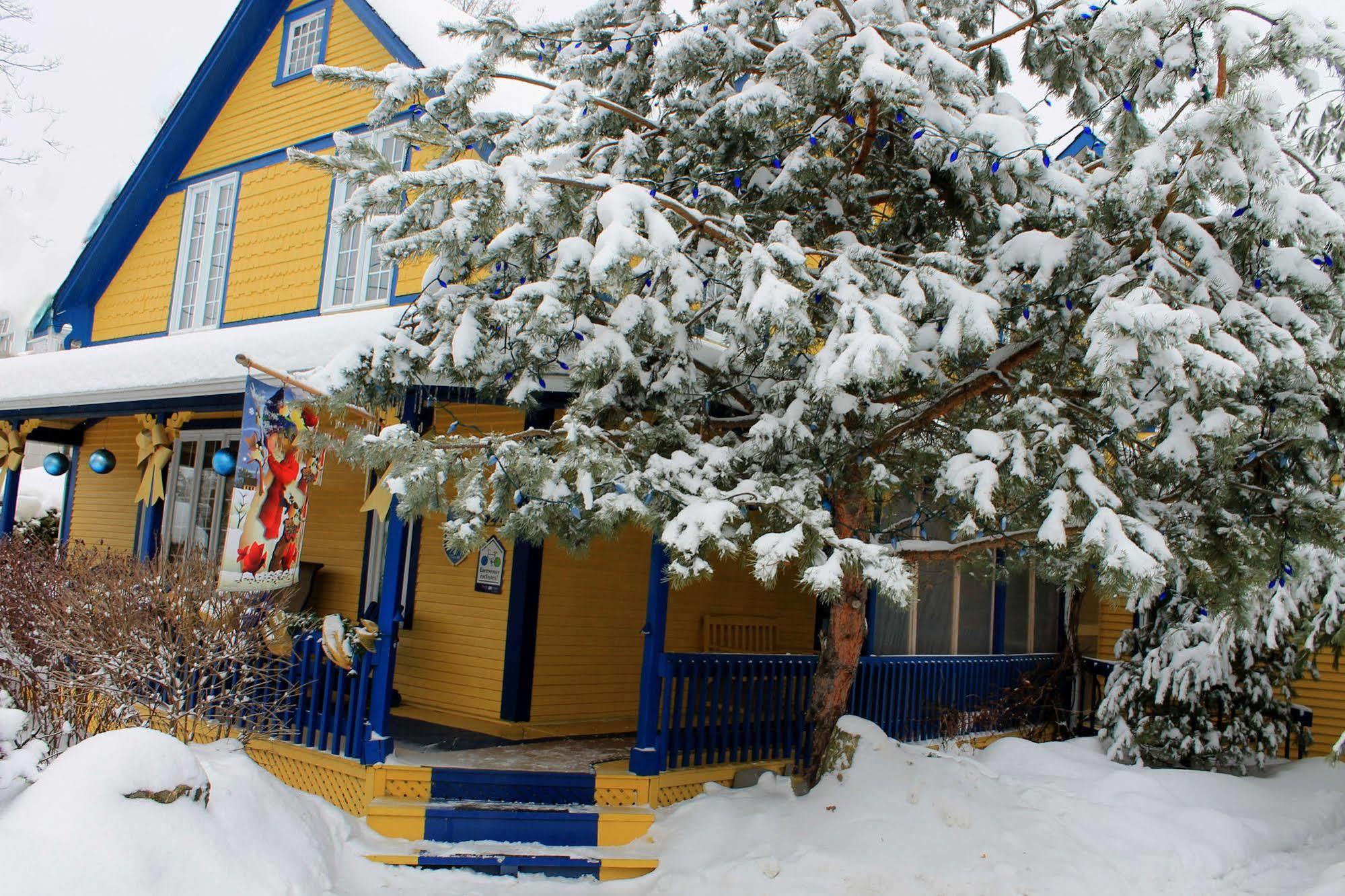 Au Saut Du Lit Bed & Breakfast Magog Екстериор снимка